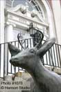 Burlington, VT - City Hall and Deer Sculpture